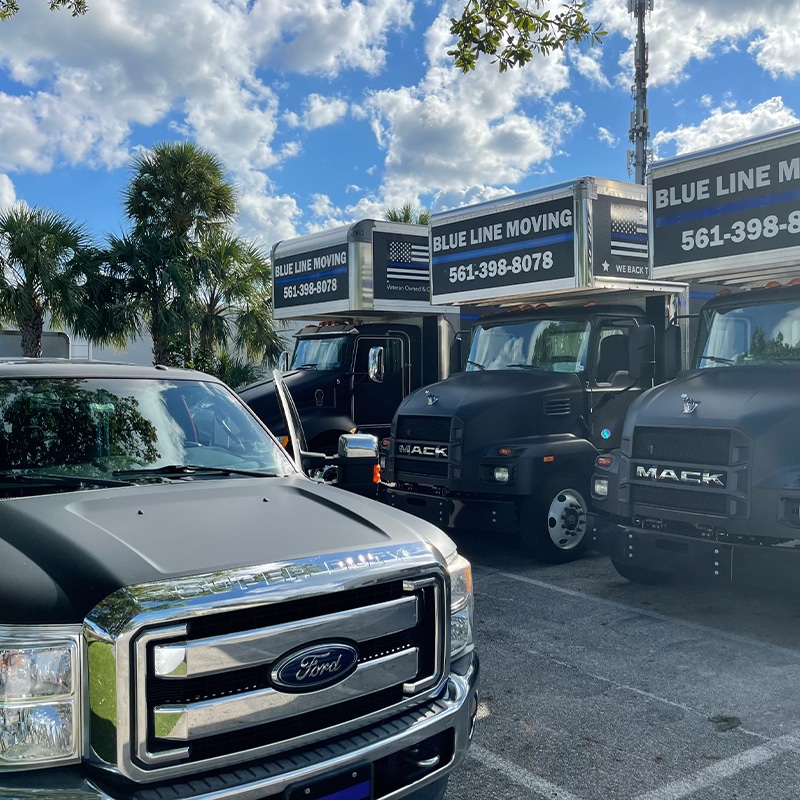 Blue Line Moving - Moving Trucks